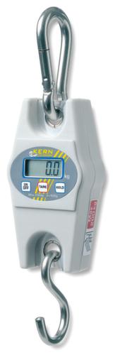 KERN Hanging scale with weighing range up to 200 kg
