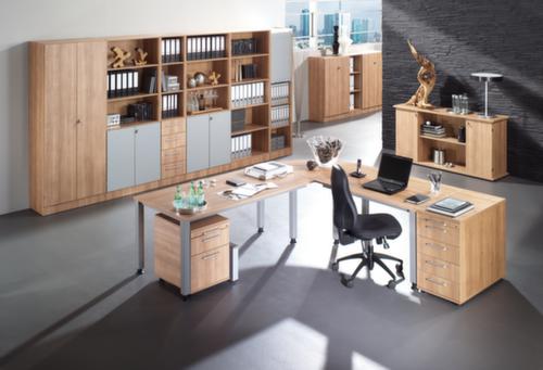 Office hinged door cupboard Sina