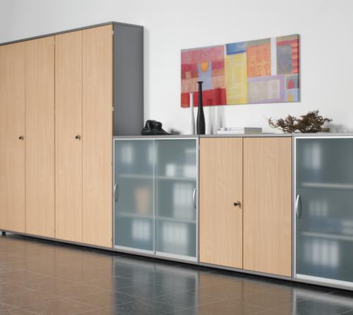 Gera Glass door cabinet Pro