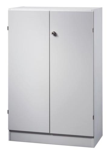 Office hinged door cupboard Sina