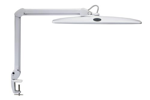 MAUL Dimmable LED table lamp MAULwork, light cool white (daylight white), white