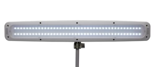 MAUL Dimmable LED table lamp MAULwork, light cool white (daylight white), white