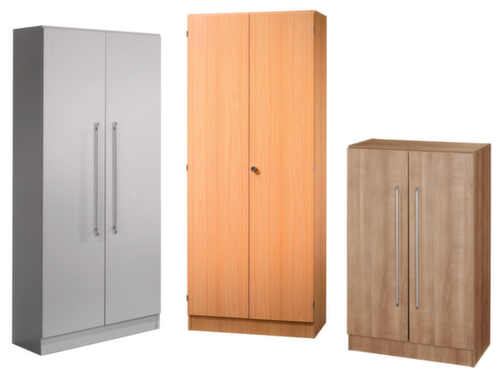 Office hinged door cupboard Sina