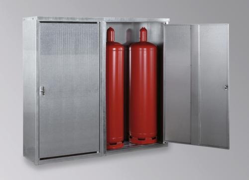 Lacont Gas cylinder cabinet