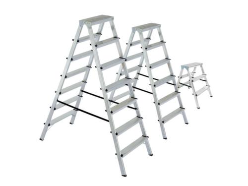 Aluminum double ladder