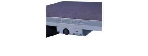 Heated footrest with carpet