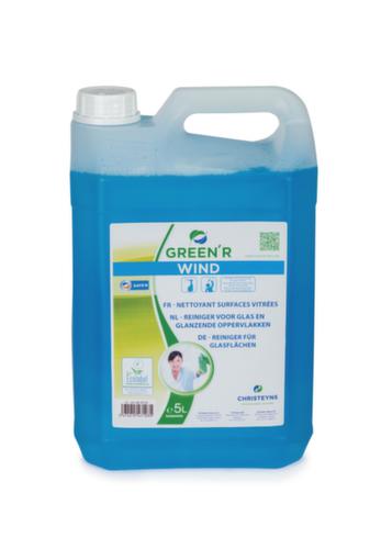 Glass cleaner