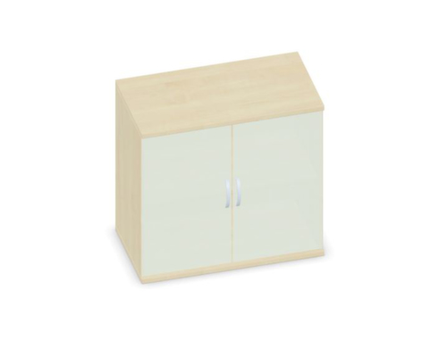 Gera Glass door cabinet Pro
