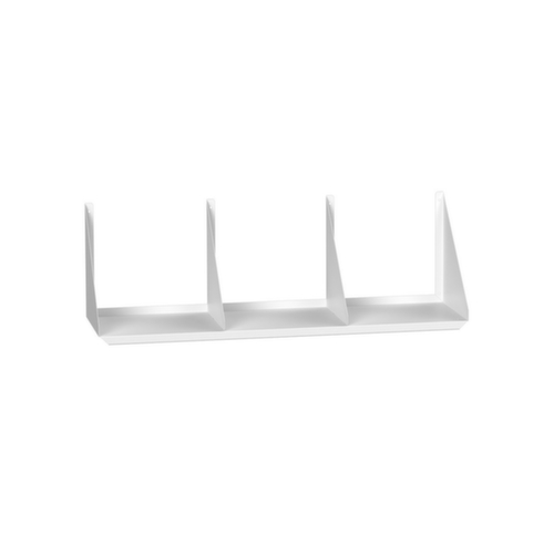 bott Shelf verso for desk cabinet, width x depth 1050 x 290 mm