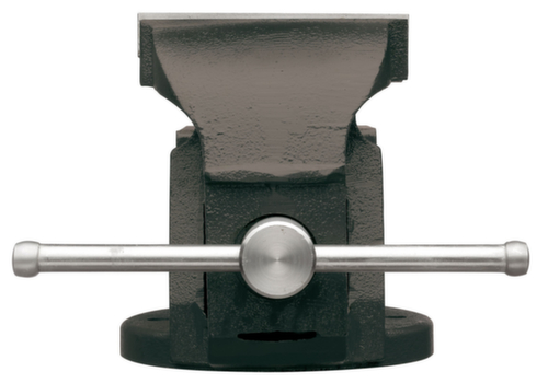 GEDORE RED R93800125 Vice jaw width 125mm rigid 17kg