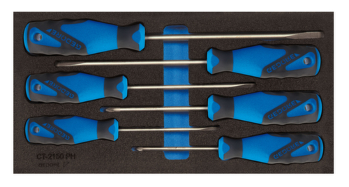 GEDORE 1500 CT1-2150 PZ screwdriver in check tool module