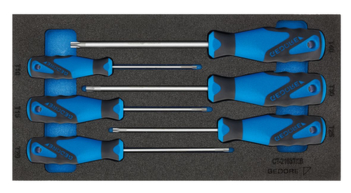 GEDORE 1500 CT1-2163 TXB Screwdriver in check tool module