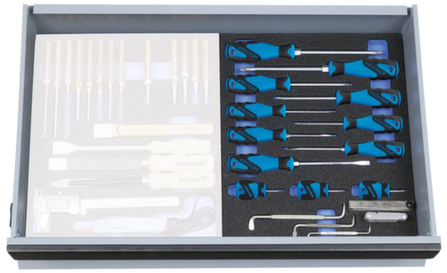 GEDORE 2005 CT2-2160 Screwdriver set in check tool module