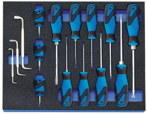 GEDORE 2005 CT2-2160 Screwdriver set in check tool module