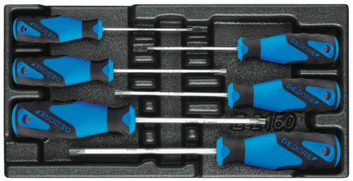 GEDORE 1500 ES-2163 TXB Screwdriver set in 1/3 ES module