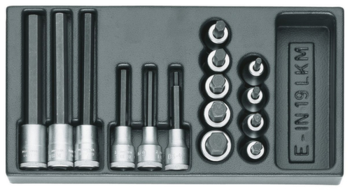 GEDORE 1500 ES-IN 19 LKM Set of screwdriver bits 1/2" in 1/3 ES module