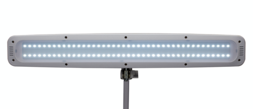 MAUL Dimmable LED table lamp MAULwork, light cool white (daylight white), white