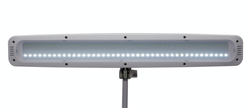 MAUL Dimmable LED table lamp MAULwork, light cool white (daylight white), white