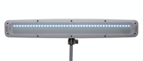 MAUL Dimmable LED table lamp MAULwork, light cool white (daylight white), white