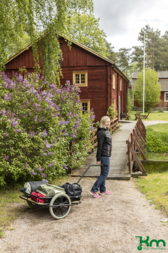Kongamek Handcart