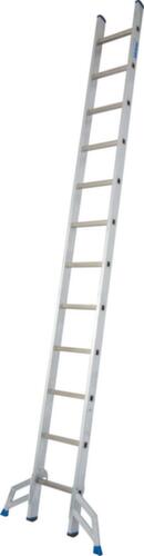 Krause Extension ladder