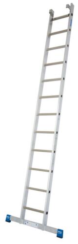 Krause Extension ladder
