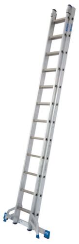 Krause Extension ladder