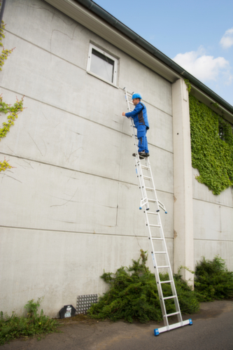 Krause Extension ladder