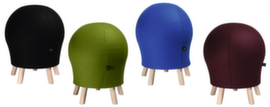 Topstar Ball stool Sitness 5 Alpine
