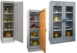 Lacont Security cabinet storeLAB