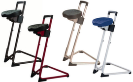 Swivel standing aid