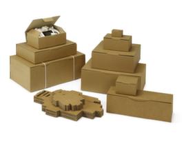 Postal carton