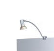 Halogen light