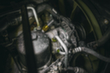 std_05 S