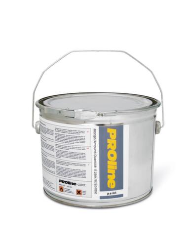 Moravia Hall marking paint Paint for indoors