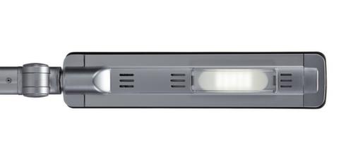 MAUL Dimmable LED table lamp MAULpure, light cool white (daylight white), silver