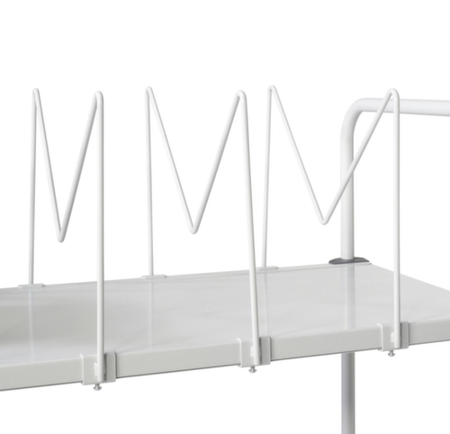 Compartment divider