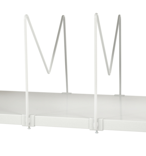 Compartment divider