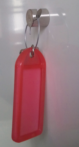 Franken Hook magnet, silver, Ø 16 mm