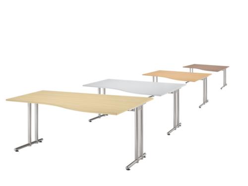 Free-form desk Terra Nova