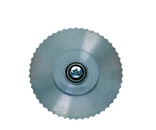 Rocholz Replacement blade for cutting device