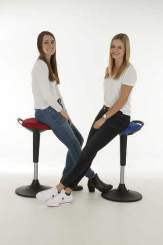 Lotz Multi-movable standing aid, seat height 600 - 860 mm, seat black