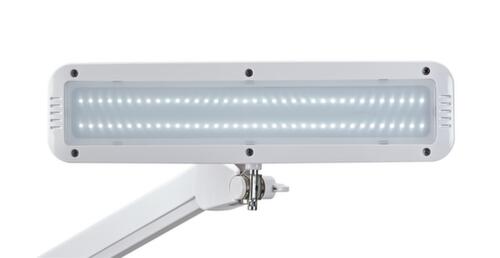 MAUL Compact LED task light MAULintro, dimmable, light cool white (daylight white), white