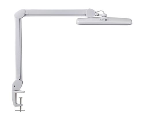MAUL Compact LED task light MAULintro, dimmable, light cool white (daylight white), white