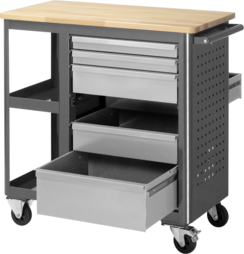 RAU Mobile workbench Basic