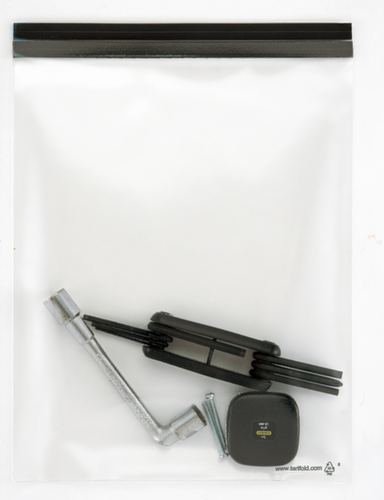 tarifold Magnetic viewing pocket, transparent