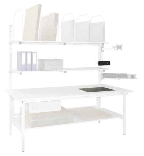 Dual-range industrial scales Classic/Multiplex for packing table