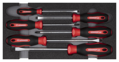 GEDORE R22150014 Screwdriver set PZ+SL 2/6 CT module 6-piece