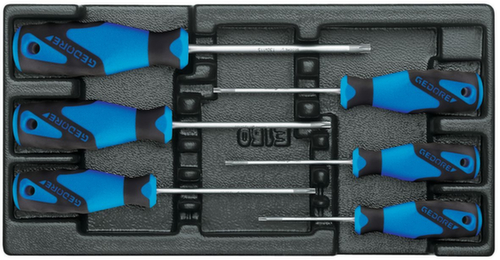 GEDORE 1500 ES-2163 TX screwdriver set in 1/3 ES module