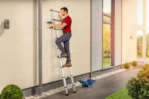 Hailo Telescopic single ladder FlexLine T80 with rungs